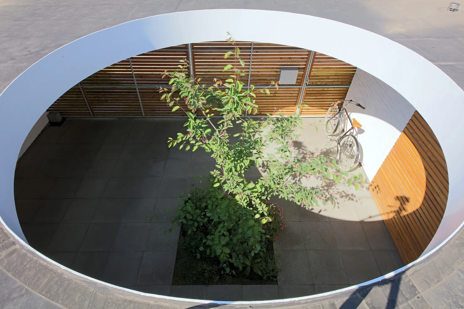 vtup do domu architektů se stromem v nádvoří