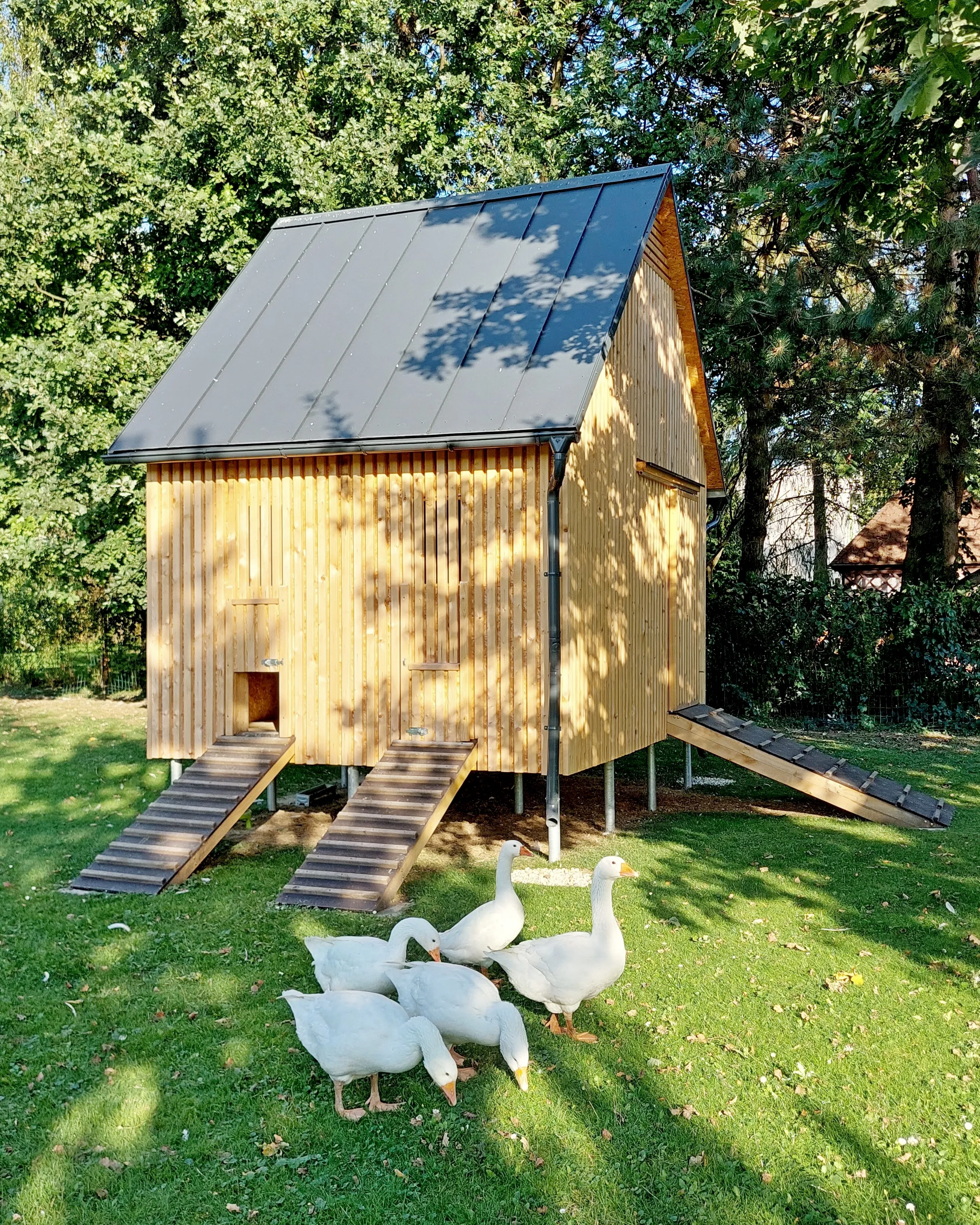 návrh drobné dřevostavby od bydloarchitekti