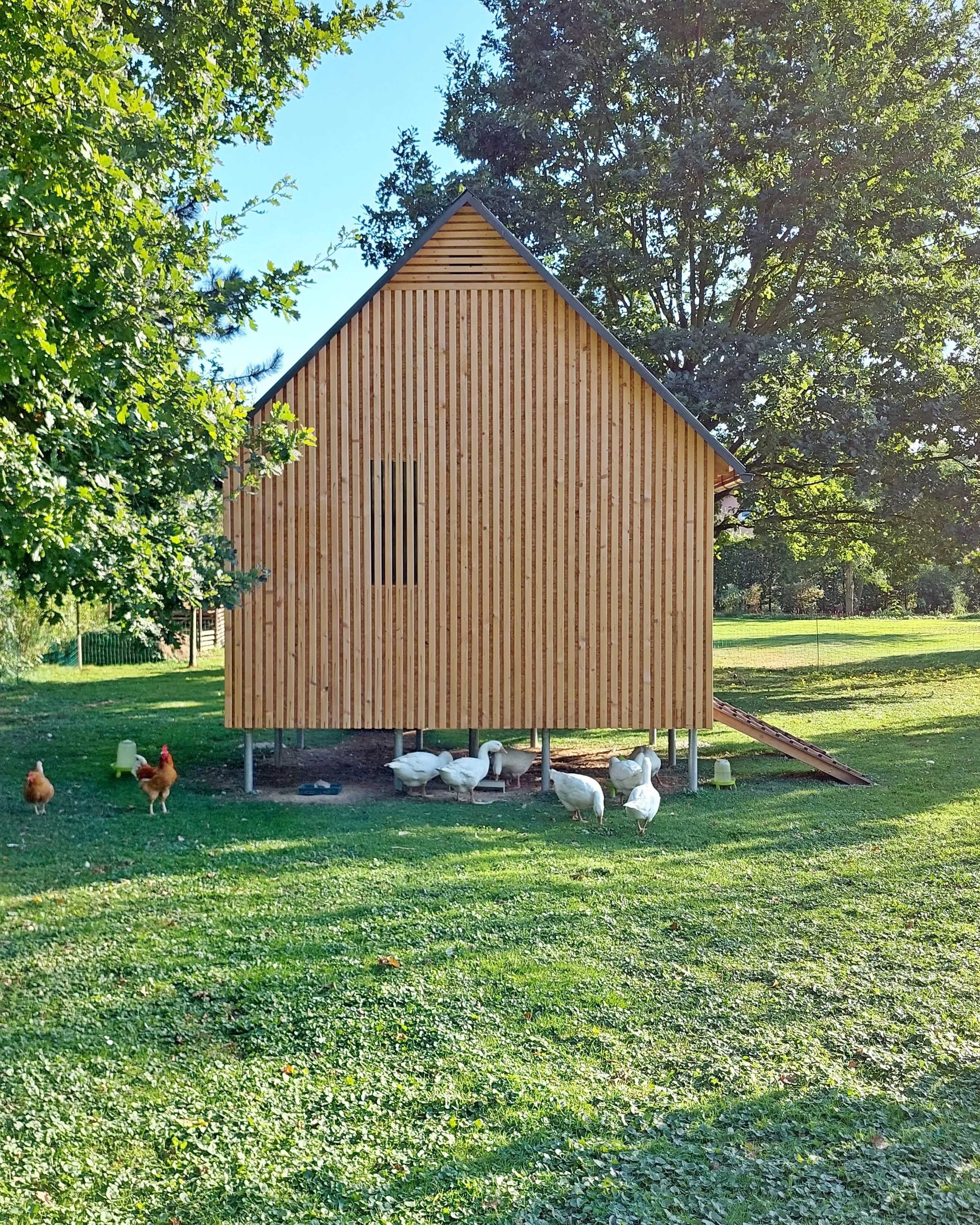 smrková fasáda a plechová střecha na kurníku a husníku