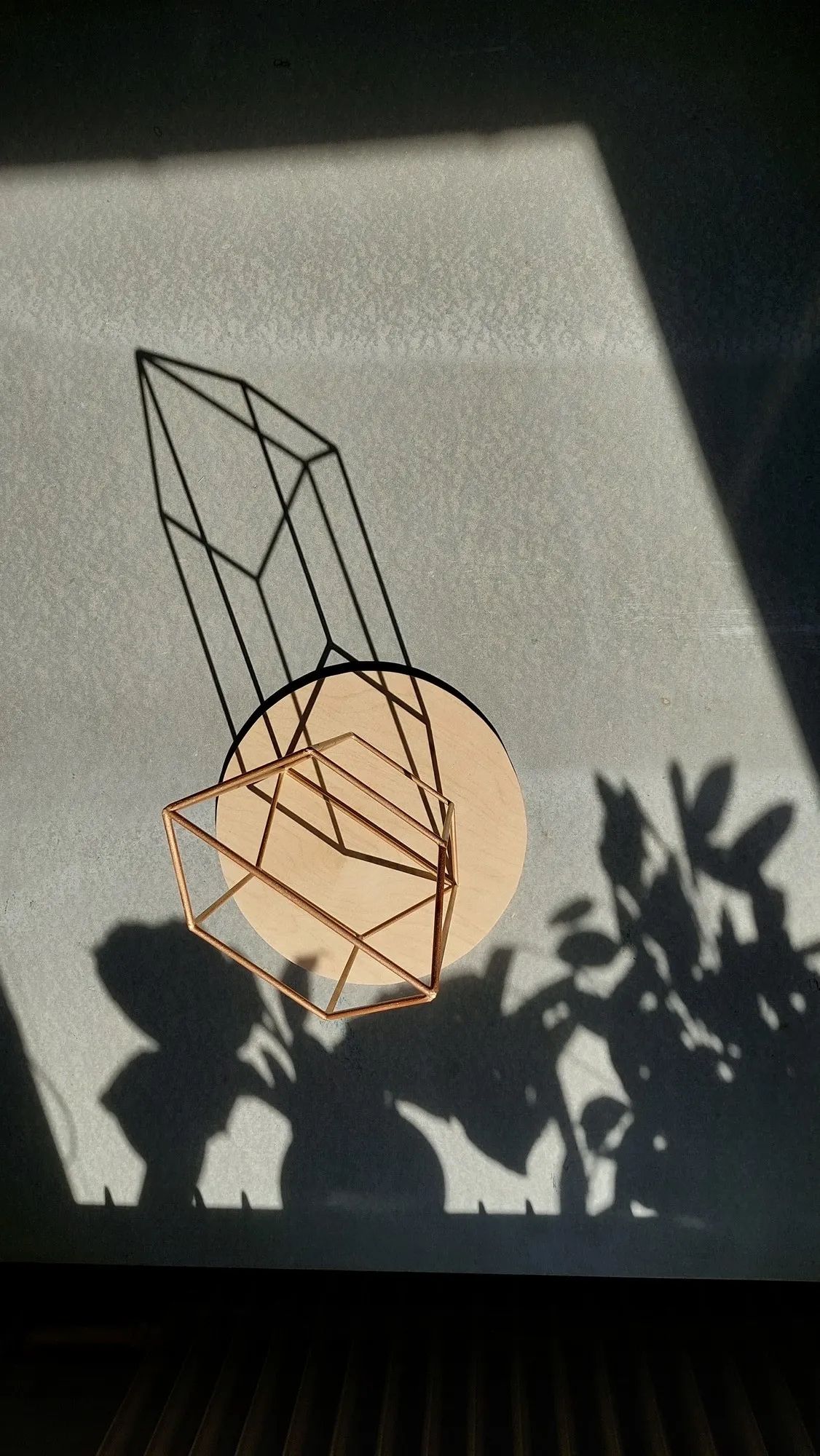 model 5