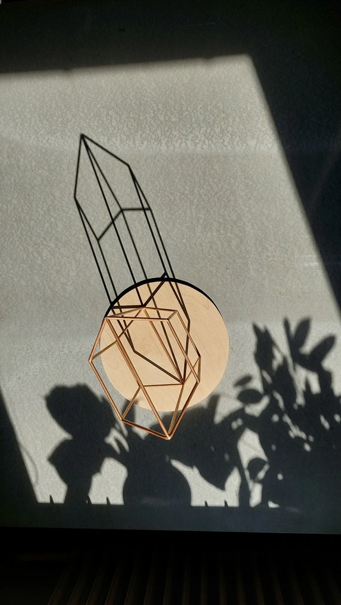 model 6