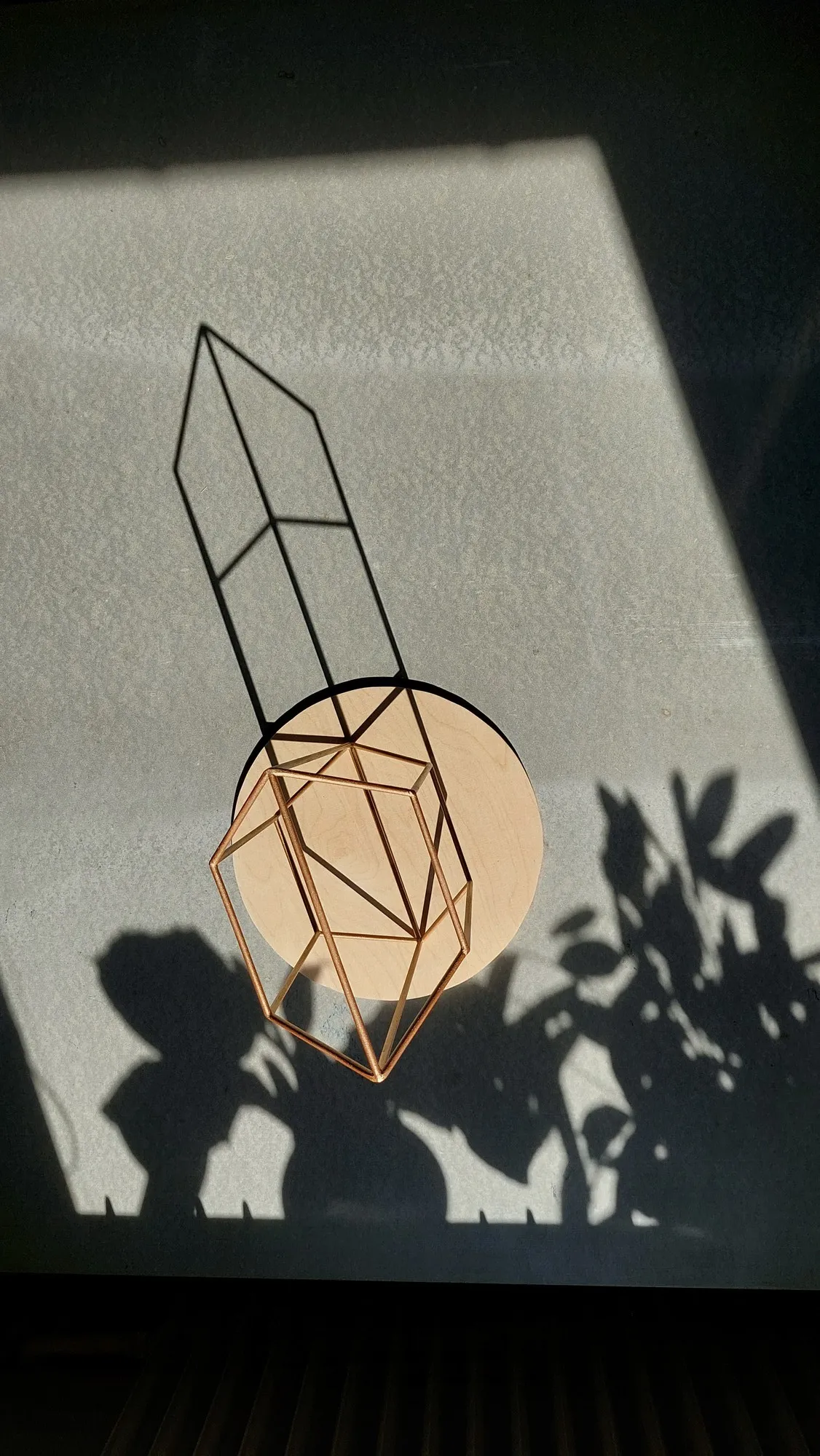 model 7