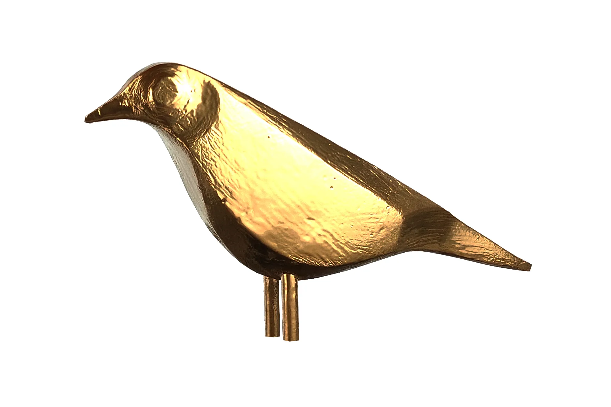 model 5